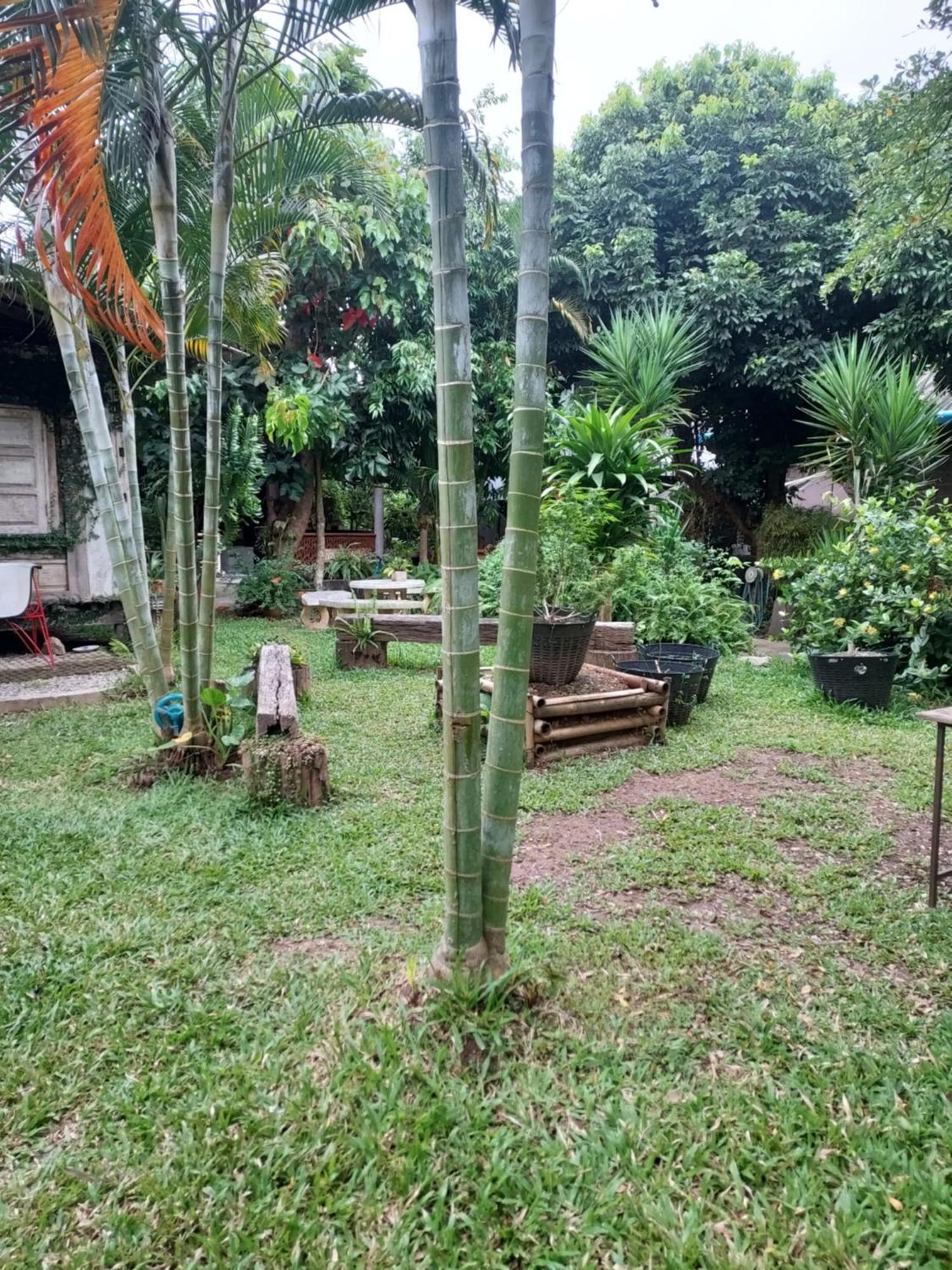 Kwanlah Homestay Mae Chaem Dış mekan fotoğraf