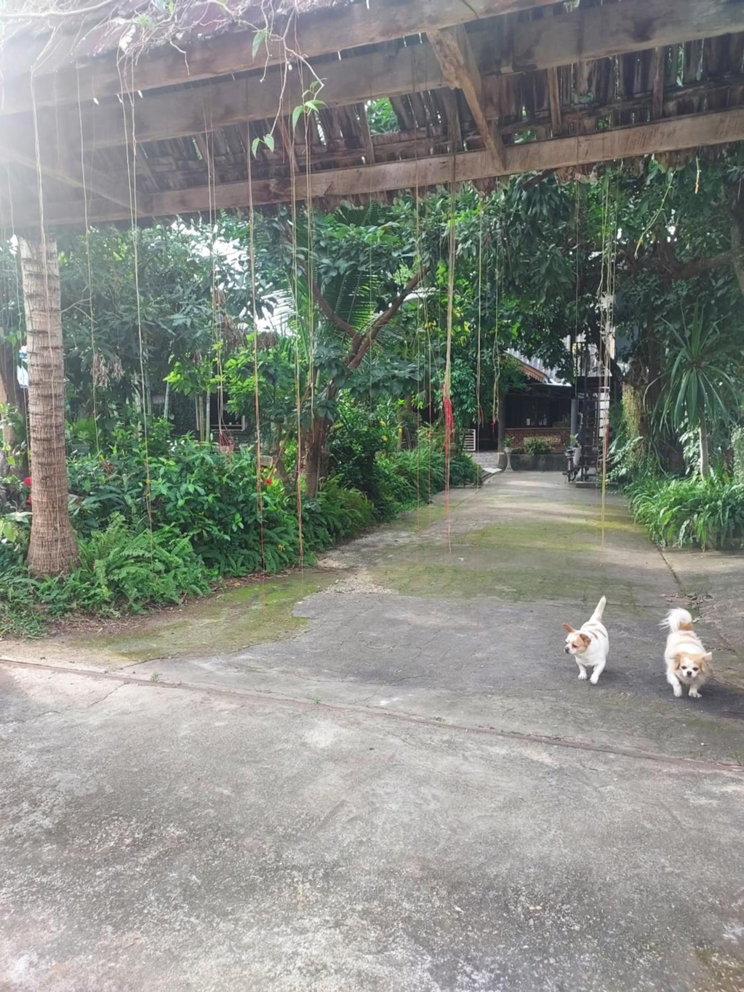 Kwanlah Homestay Mae Chaem Dış mekan fotoğraf